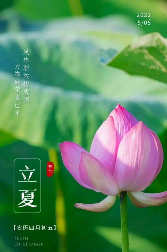 推荐丨许日辉 七绝《乙巳立夏节气寄怀》十二首（图3）