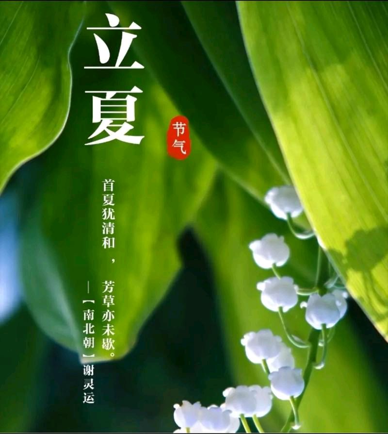 推荐丨许日辉 七绝《乙巳立夏节气寄怀》十二首（图5）