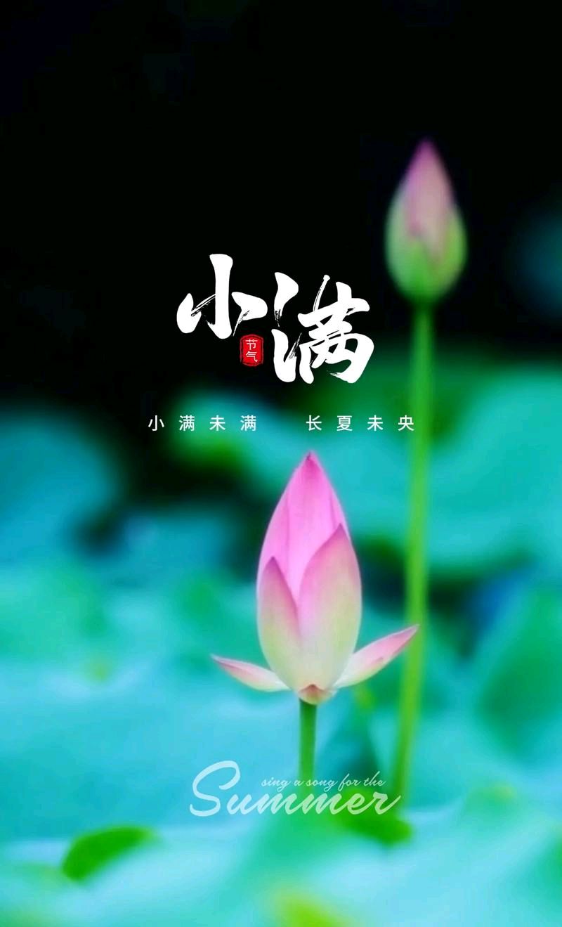 【神州源流诗苑】第1351期佳词周刊(图3)