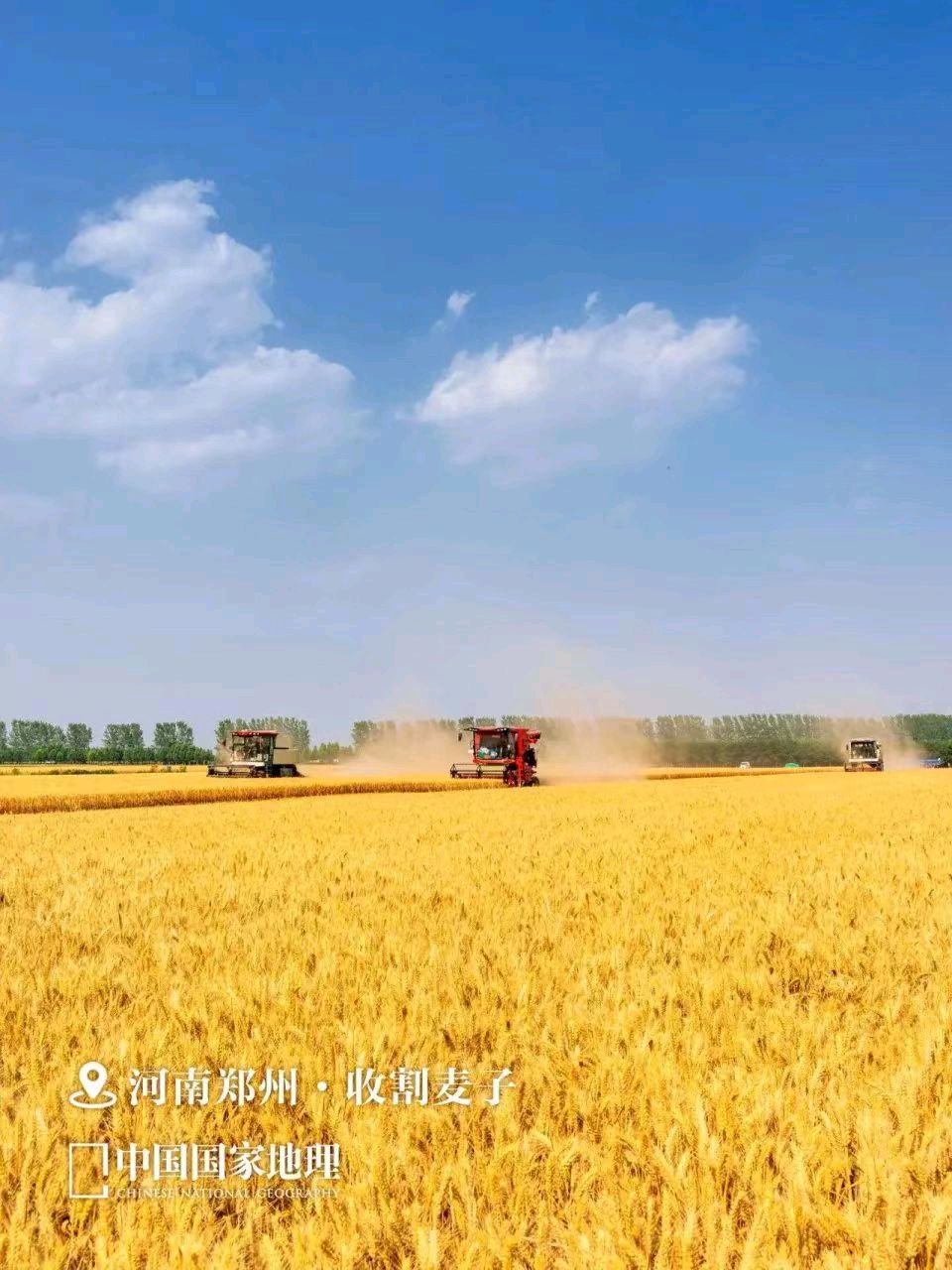 【荣耀中国】万菊芳 题图诗第47期（图4）