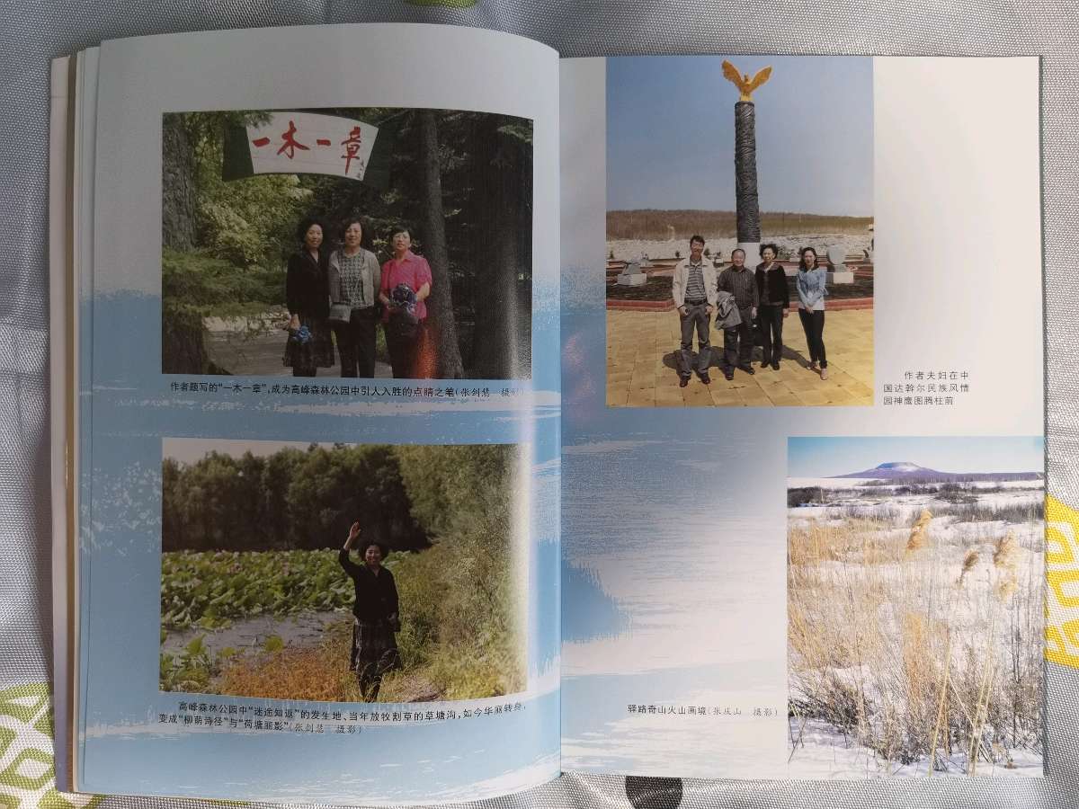 【感动心灵世界名人诗文集】【嫩江市著名书法家 画家 作家张庆山老师的新书—神驰 --嫩江驿站】（图11）
