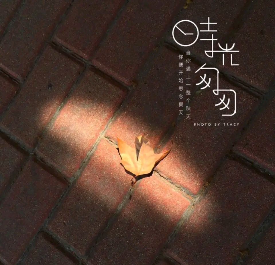 《龙游天下创作现代古诗七律赏析》作者：龙游天下 [中国现代诗歌文化传媒推荐]。（图8）