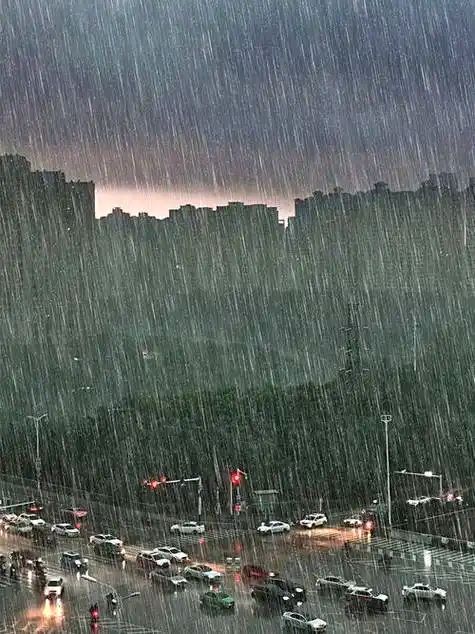 七绝-风雨大作～诗◑王政（图12）