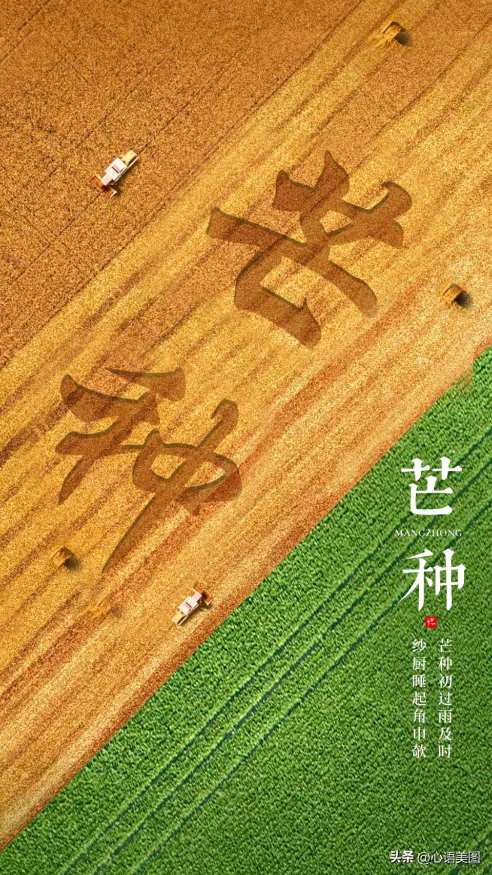 【都市头条向幸福出发编辑部】第13637期 华侬农作品118（图13）