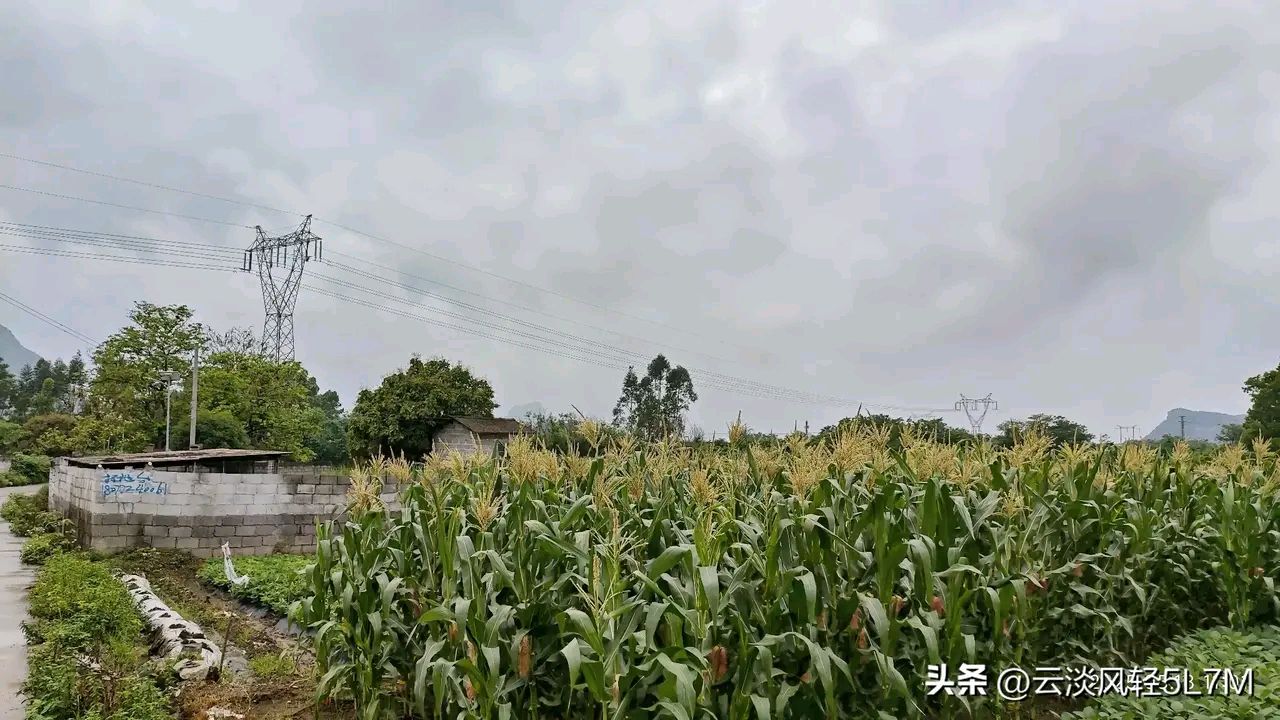 《郭小林现代古诗新作》作者：郭小林 [中国现代诗歌文化传媒推荐]（图7）