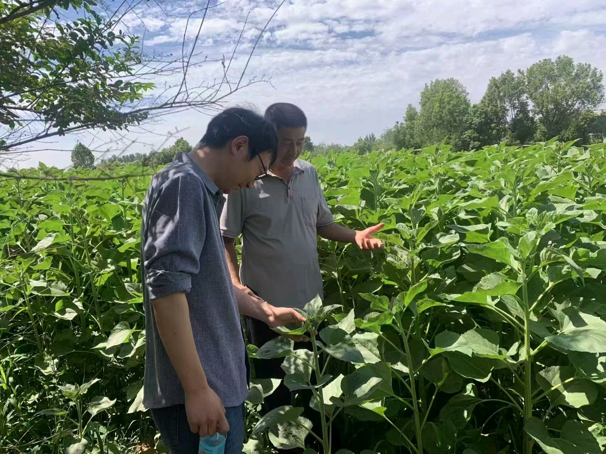 科技赋能花卉产业 平顶山特色种植产业科技特派员服务团赴叶县开展技术指导（图3）