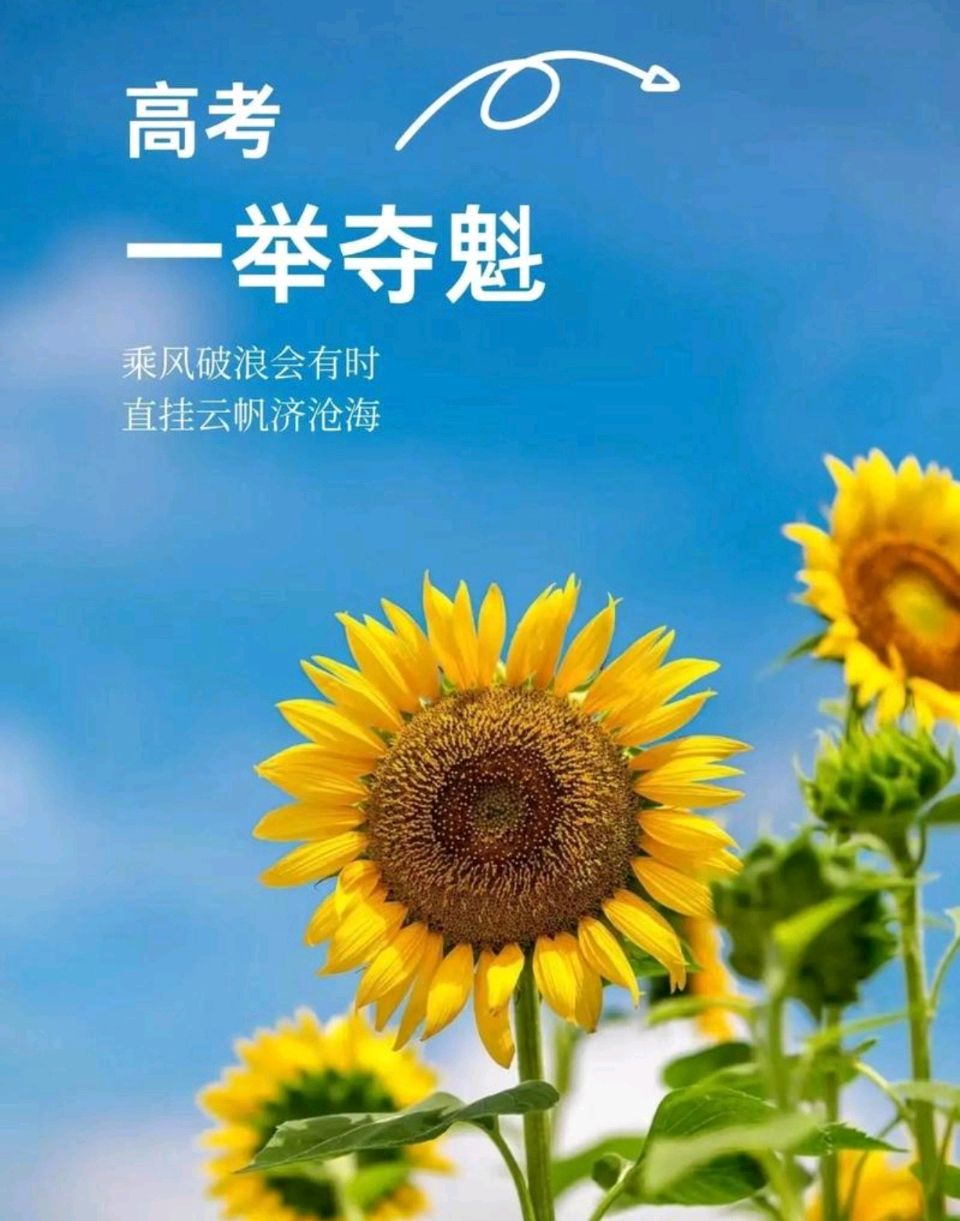 【高考特刊】小格《高考——青春的里程碑》合诵：艳丽 小格（图7）