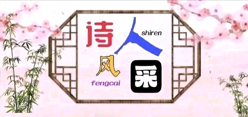 杏林颂歌：致敬越战老兵 文/龚会娟（图4）
