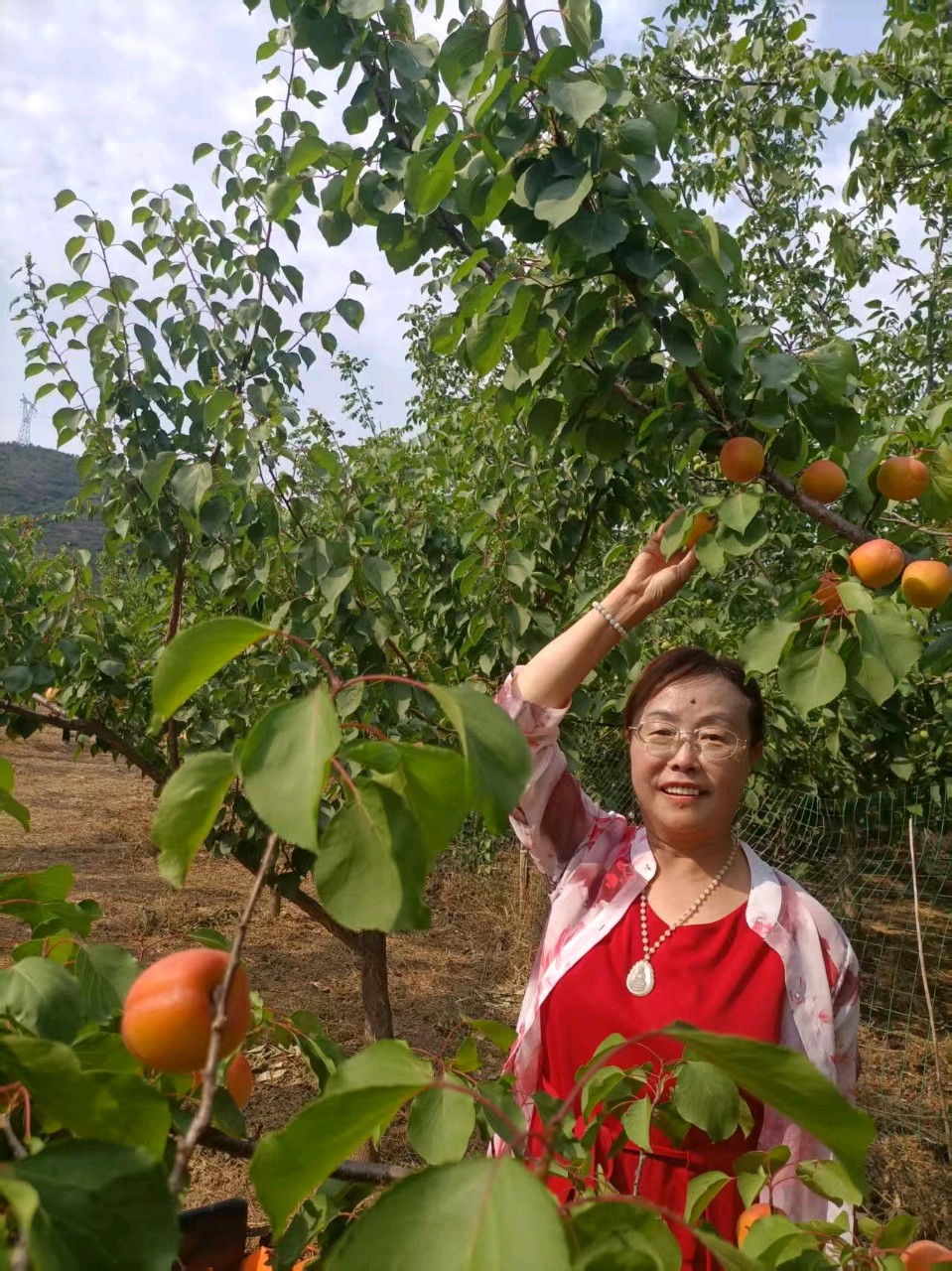 杏林颂歌：致敬越战老兵 文/龚会娟（图5）