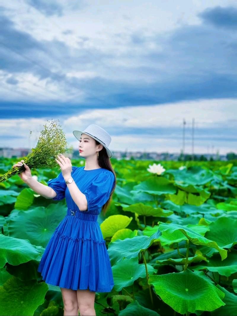 画堂春-出水芙蓉～词◑刘哲侬（图11）