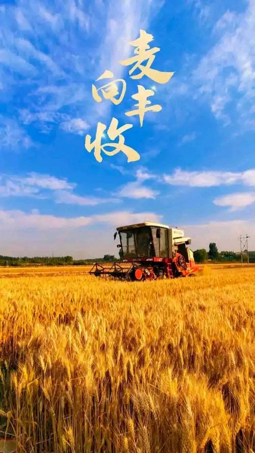 观刈麦～诗◑马文智（图14）