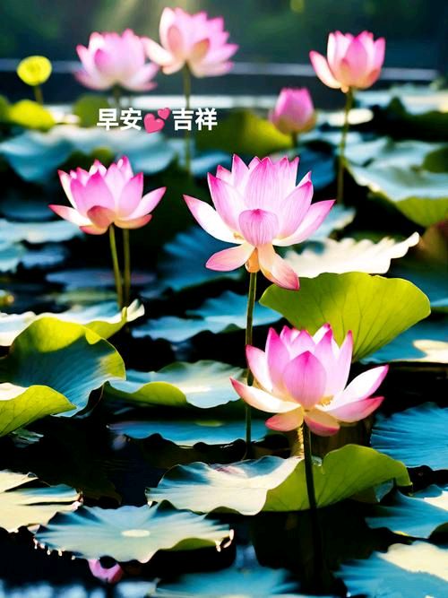 【神州源流诗苑】第1360期佳词周刊(图13)
