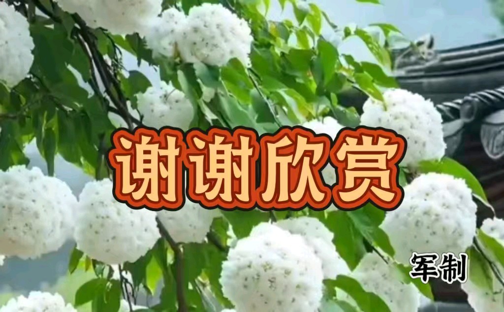【中华好诗词】分享山风（辽宁本溪）优秀诗人冯其兰老师《霜降随吟》外两首请欣赏（图5）