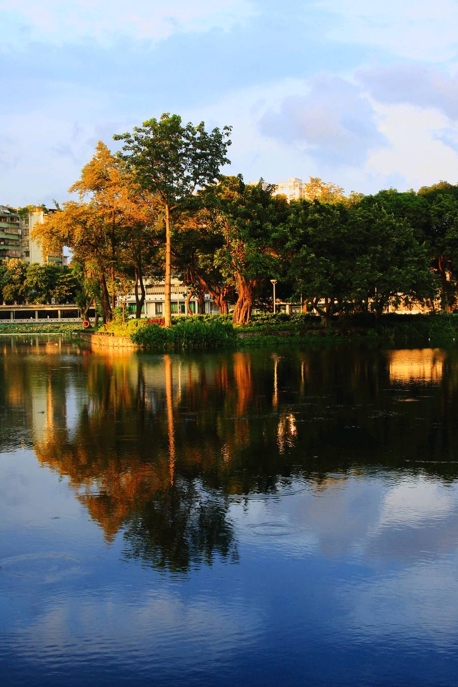 【新山东文学社】《夏日黄昏》作者/春韵 主播/梅妃(图4)
