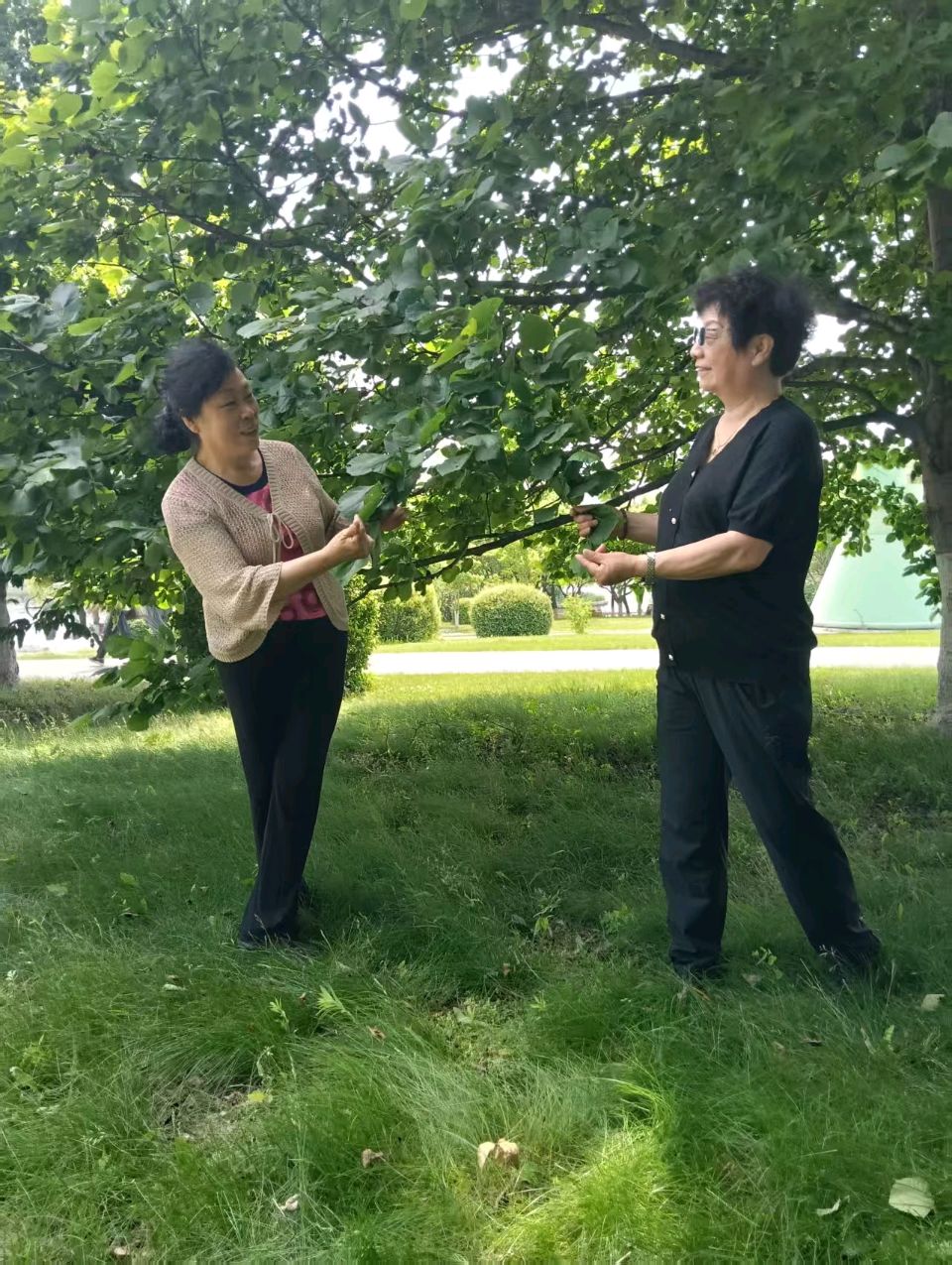 （照片版）煤矿战友相聚 共叙五十年情——五十年前的同事相聚照片留念（女生专版）（图32）
