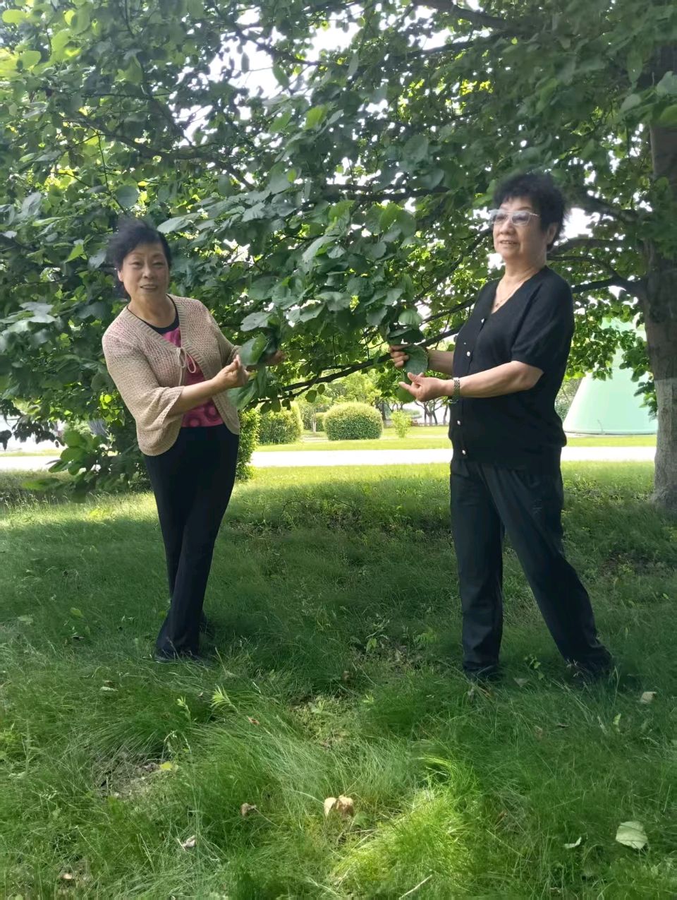（照片版）煤矿战友相聚 共叙五十年情——五十年前的同事相聚照片留念（女生专版）（图34）