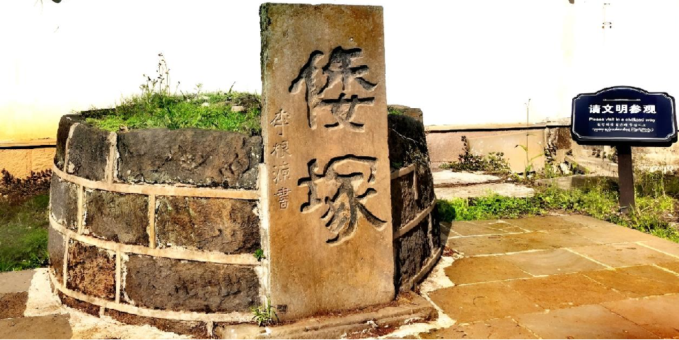 图片1