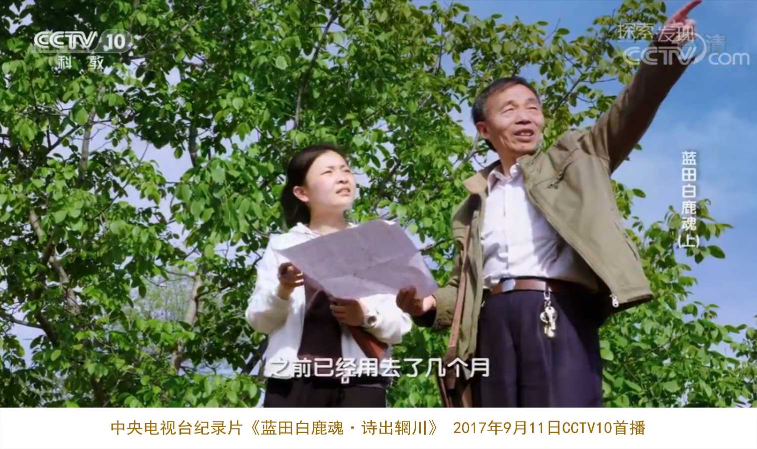 张效东＿蓝田文化研究引领人（图4）