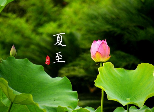 【荣耀中国】夏至怀古文/王富保(山西和顺)（图2）