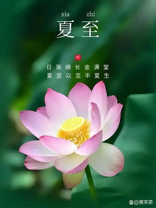 夏至‖巴彦诗词楹联协会【979】（图2）