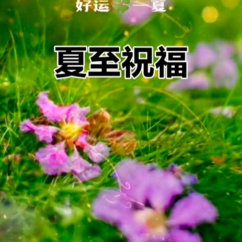 都市头条江南文学第1193期隆重推介何基础主编领唱《鹧鸪天*蝉鸣夏至》韦柳庆等29位特约诗人同题唱和专辑（图9）
