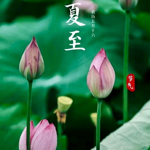 都市头条江南文学第1193期隆重推介何基础主编领唱《鹧鸪天*蝉鸣夏至》韦柳庆等29位特约诗人同题唱和专辑（图16）