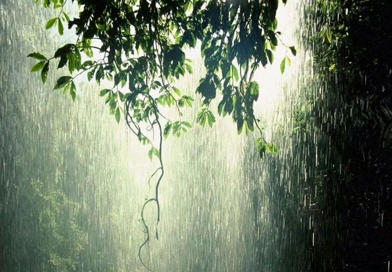 【荣耀中国】《晨夏听雨》尘封的记忆（江苏宿迁）（图3）