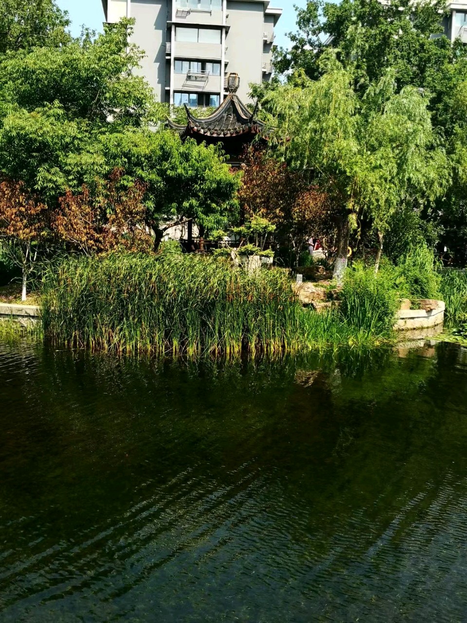 【荣耀中国】请欣赏南山翁格律诗（图2）
