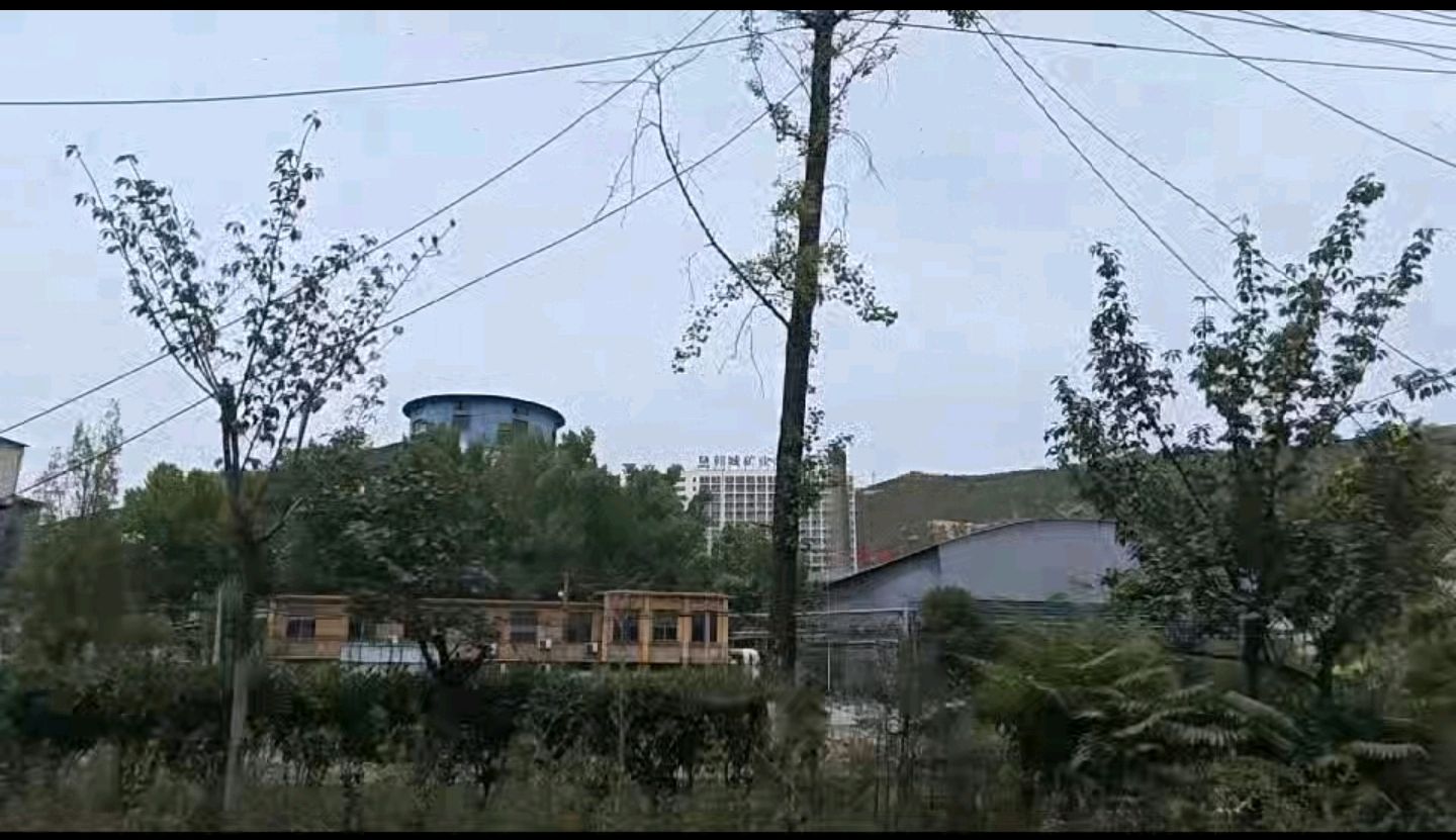 陕西作家孙旭升《暑日林源行，只为林源杏》（图10）