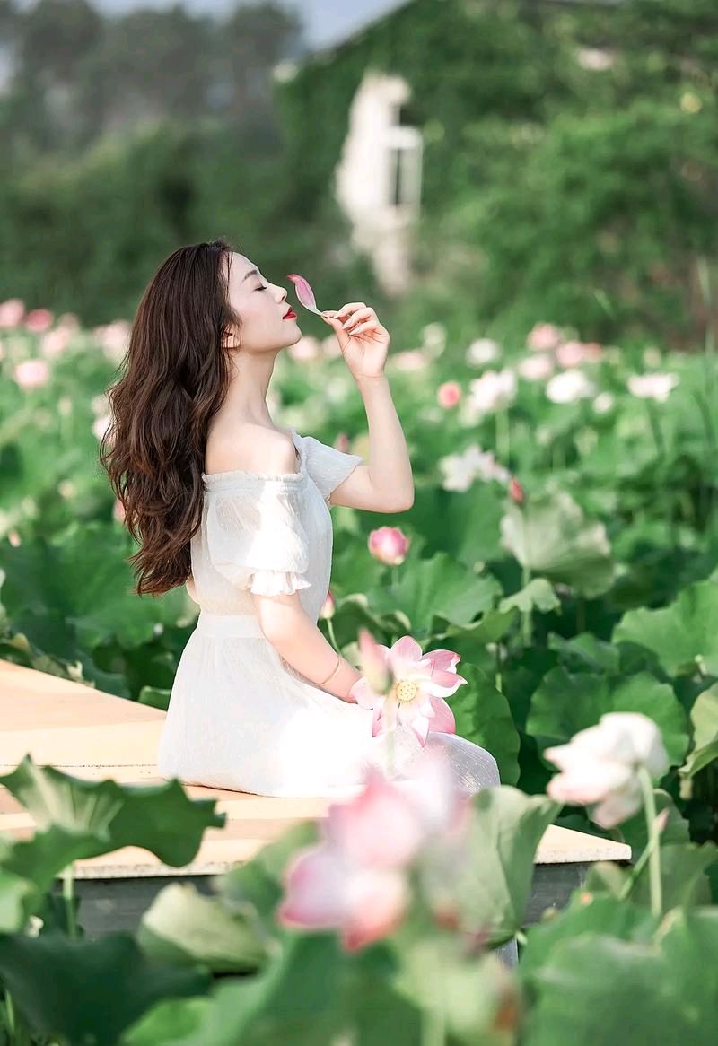 采桑子-夏荷（组合）词◑于兴庆（图10）