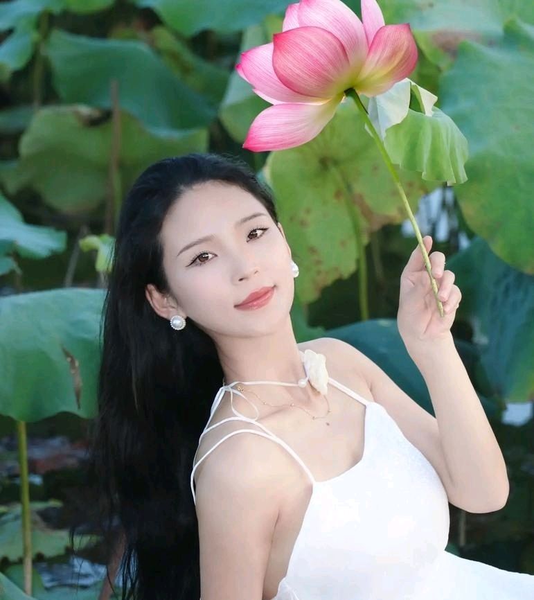 采桑子-夏荷（组合）词◑于兴庆（图14）