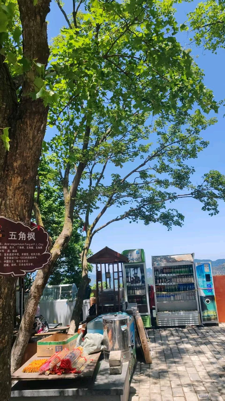 行香子·灵犀文/安曼（图9）