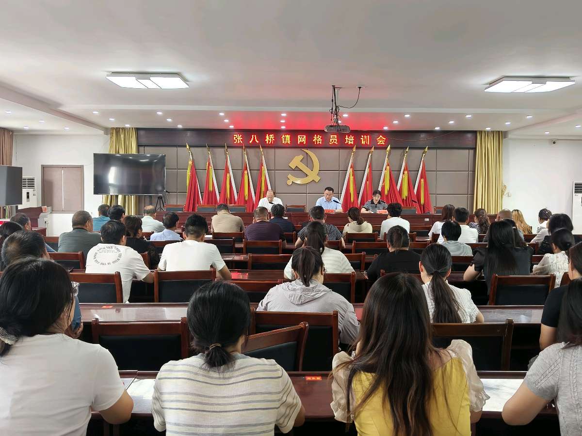 宝丰张八桥镇：举办网格员培训会 提升基层治理效能