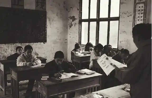 对教鞭的执着 作者:程增庄 主播:蝴蝶兰（图4）