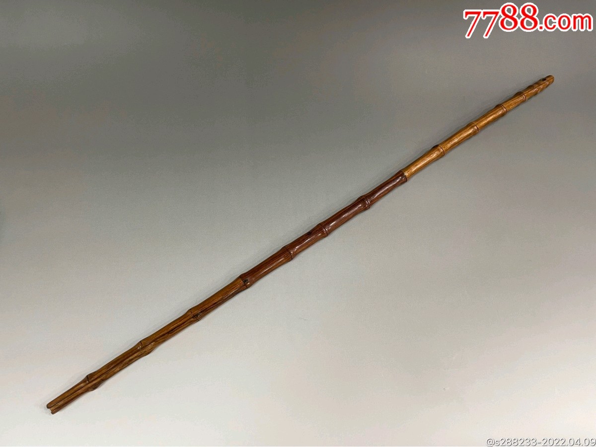 对教鞭的执着 作者:程增庄 主播:蝴蝶兰（图2）