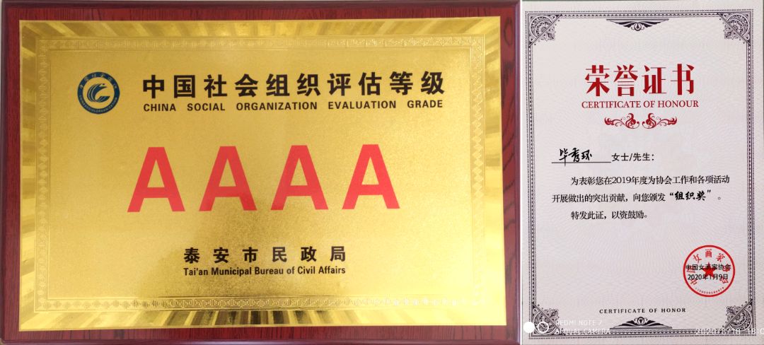 张庆明/德艺双馨毕秀环：翰墨丹青绘人生，公益拥军显担当（图9）