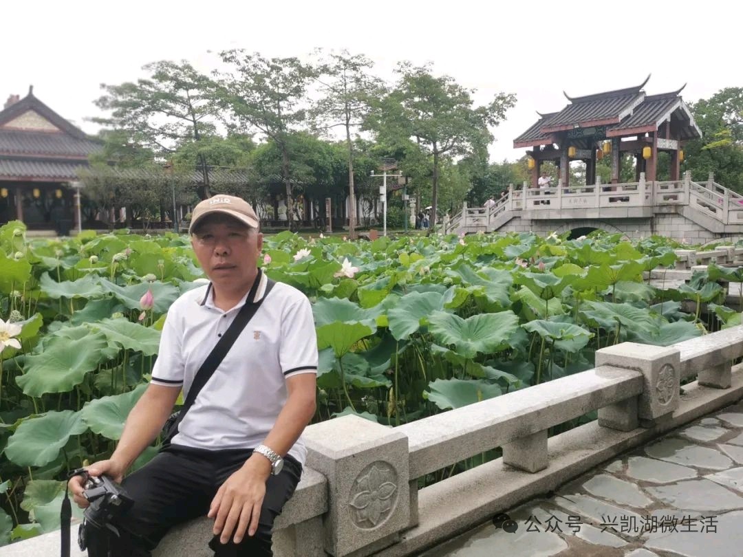 南粤荷花盛开时想到了梅花/作者：王夫（图5）