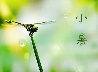 南山翁（張國盛）‖小暑诗词十二首（图3）