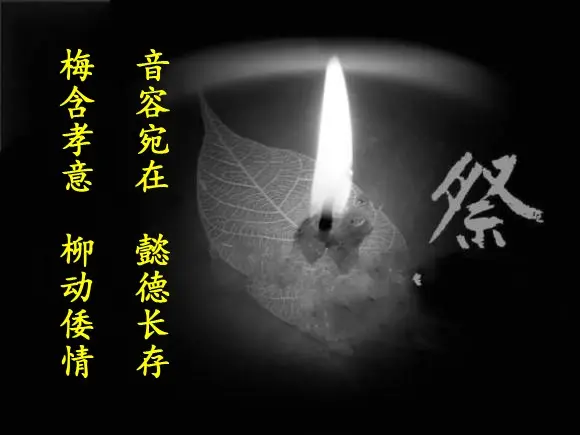 王明:藏头姊妹诗——痛悼老伴逝世/中华诗艺社黑龙江分社【2025第119期】（图9）