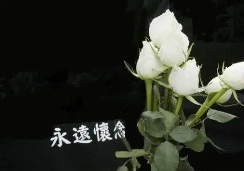 王明:藏头姊妹诗——痛悼老伴逝世/中华诗艺社黑龙江分社【2025第119期】（图10）