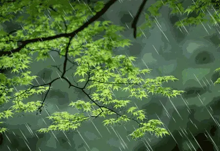 夏日风光（7）‖巴彦诗词楹联协会【910】（图2）