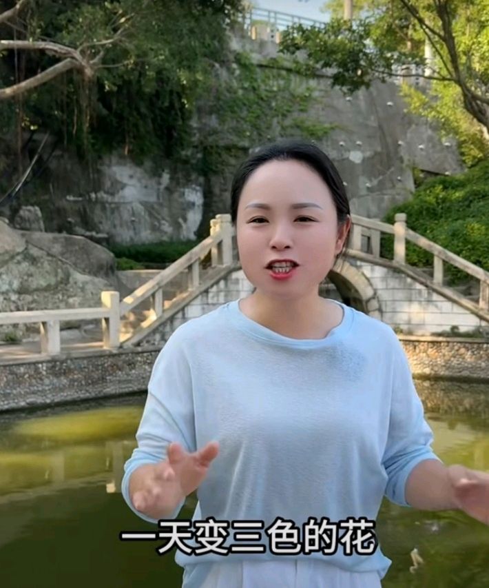 十二花神赋连载⑨⑩诗◑雅轩琴韵（图25）