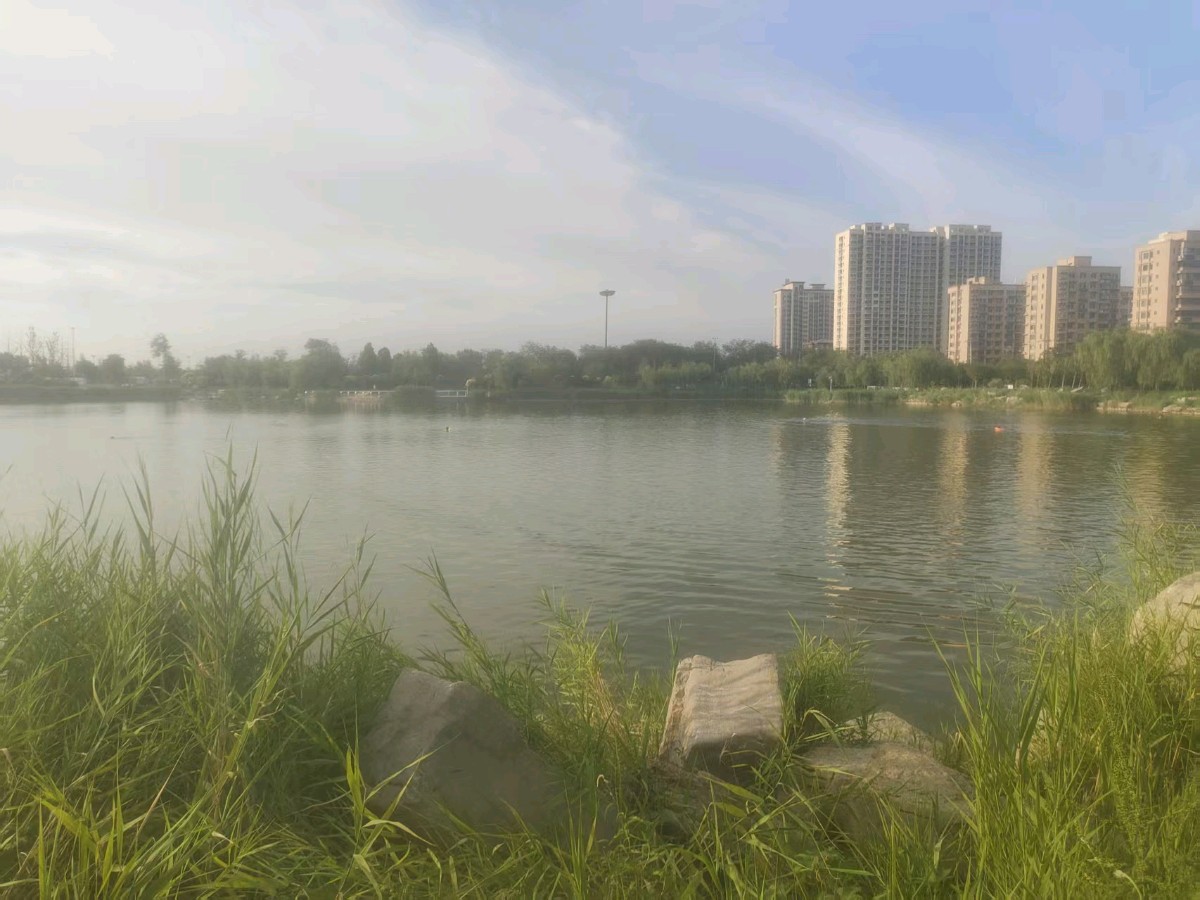 【故道文化·6981】胡东标诗作《贝州湖》（图3）