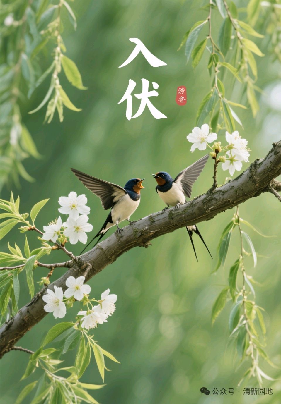藏头诗:初伏到来文/王俊杰(天津)（图3）