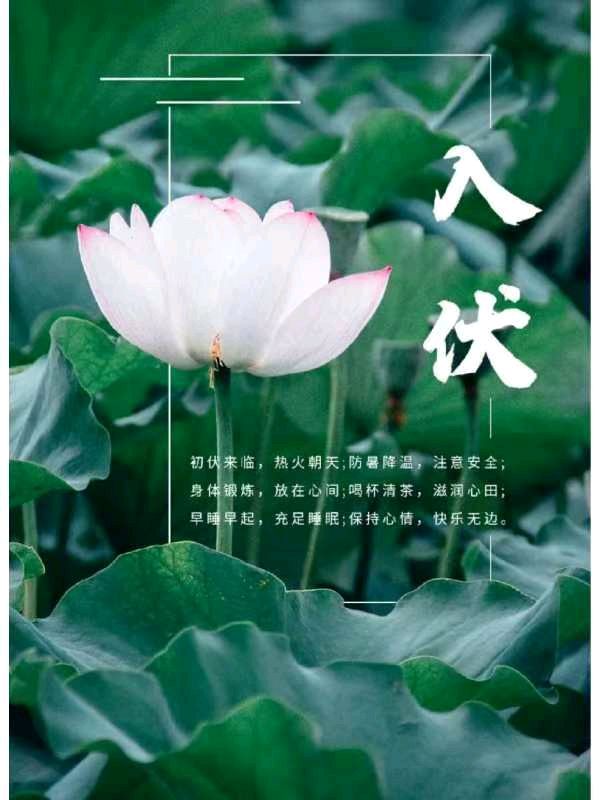 【荣耀中国】深圳分社周刊第27期（图3）
