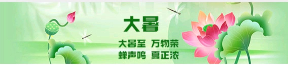 【经典推荐】杨武军//伏天感怀（图3）