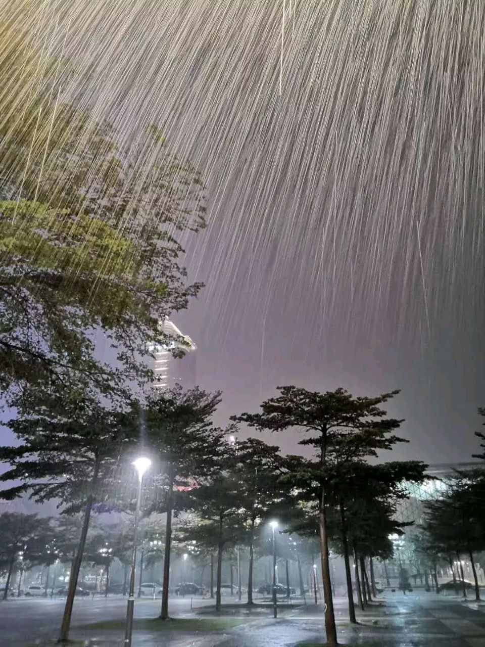 【荣耀中国】细雨抒怀 刘佰儒（图2）