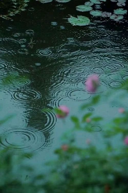 【荣耀中国】七律·瀑雨盼晴田忠义（图3）