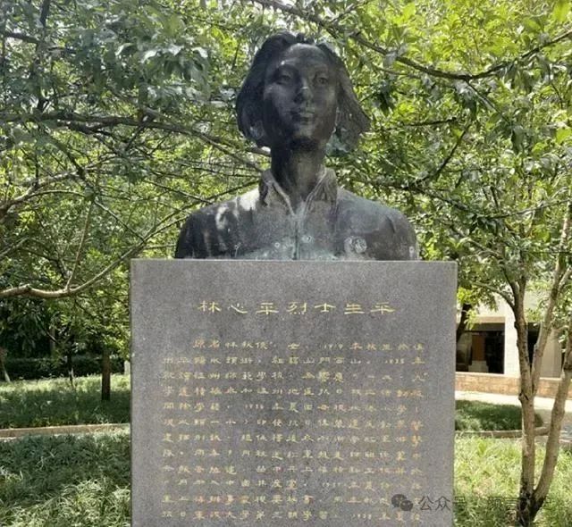 七律 缅怀抗日女英雄林心平烈士/作者：徐国民（图3）