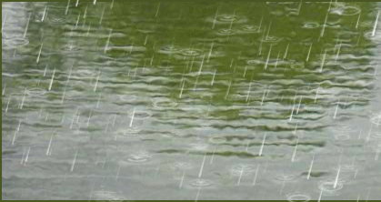 雷雨 作者:张满海（图2）